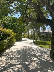 Obraz premium Paradise