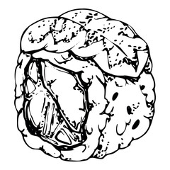 Traditional Japanese food, sushi rolls raw fish tempura shrimp, salmon tuna avocado, stains drops, philadelphia alaska hand drawn in vector pen and ink. Elements for recipe book, restaurant, cafe menu