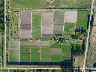 Aerial view of vibrant green crop fields and farmland with intricate patterns, Montevideo, Uruguay.