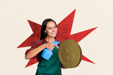 Composite photo collage of happy girl hold spray clean usd coin money income success profit...