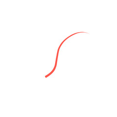 Red Squiggle Brush Scribble Underline