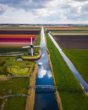 Aerial view of colorful tulip fields with windmill and canal, 't Zand, North-Holland, Netherlands.