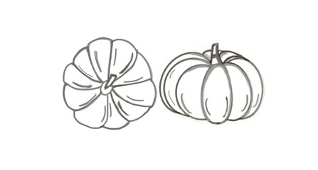 simple hand-drawn illustration of two pumpkins. Simple doodles pumpkins.

