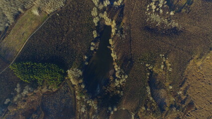 Aerial Autumn Landscape with Forest Textures and a Hidden Pond
