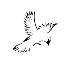 silhouette of a bird