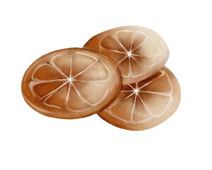 Watercolor illustration of lemon slices on a white background, showcasing their vibrant details