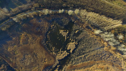 Aerial Autumn Landscape with Forest Textures and a Hidden Pond