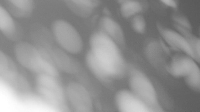 Wall interior background, studio and backdrops show products.with shadow from window color white and grey. background for text insertion and presentation product	