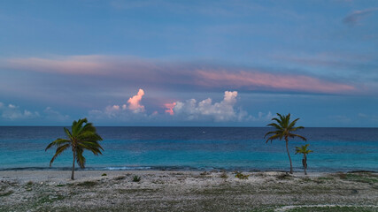 Aerial view of serene tropical island at sunrise with palm trees and calm ocean, Bonaire, Caribbean Netherlands.