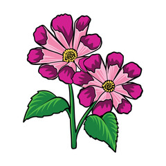 Colorful Flower Hand Drawn Illustration Elements Vector