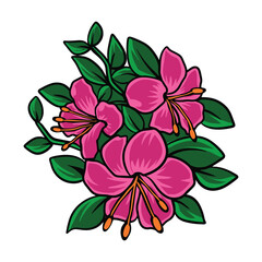 Colorful Flower Hand Drawn Illustration Elements Vector