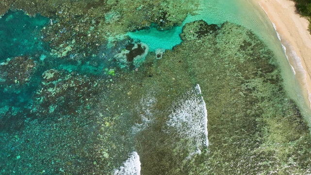 Aerial view of a beautiful tropical island with turquoise water, pristine beach, and lush palms, Shefa, Vanuatu.