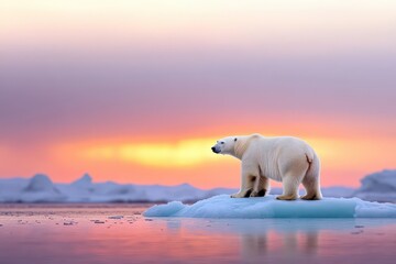 A polar bear stranded on a shrinking iceberg, surrounded by melting glaciers and rising sea levels under a brilliant sunset