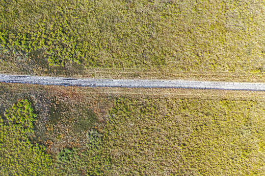 Aerial view of a serene firebreak created through saw palmetto in a tranquil landscape, Kenansville, United States.
