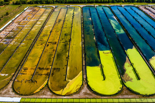Aerial view of Parabel Nutrition aquaculture facility with raceways and vibrant water lentil fields, Fellsmere, Florida, United States.