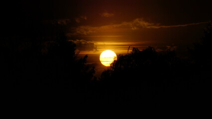 sunset against a background of trees 