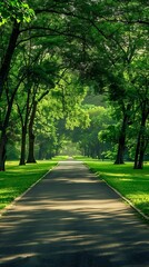 Obraz premium Empty asphalt road in the park with green grass and tree background.