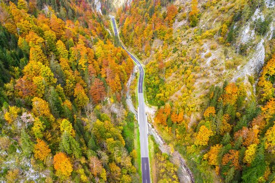 Aerial view of a winding road through a colorful autumn valley surrounded by serene forests, Liezen, Styria, Austria.