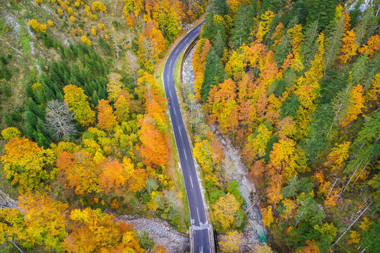 Aerial view of winding road through vibrant autumn forest with colorful foliage, Liezen, Austria.