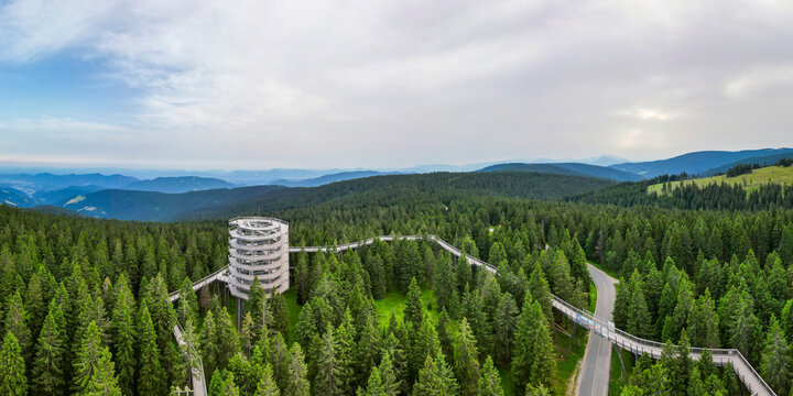 Aerial view of serene hiking trail through lush treetops in tranquil forest, Pohorje, Slovenia.