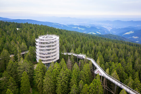 Aerial view of a beautiful forest with a hiking trail and a view tower amidst the treetops, Rogla, Slovenia.