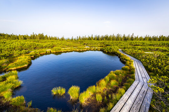 Aerial view of tranquil Lovrenska jezera with serene reflections and a wooden boardwalk, Rogla, Slovenia.