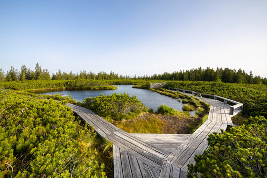 Aerial view of serene Lovrenska jezera lake with a wooden boardwalk and lush greenery, Maribor, Slovenia.