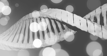 Image of dna strand and spots of light on dark background