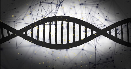 Image of dna strand and connections on dark background