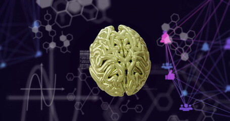 Image of network of connections over digital brain and data processing