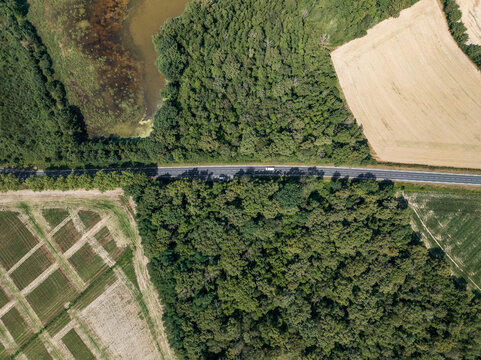 Aerial view of Parc des Oiseaux with winding road through lush forest and fields, Marlieux, France.