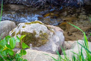 Small stream with small rocks in it green on the outside
