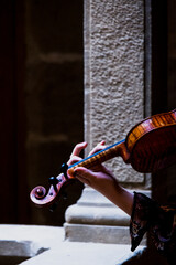 professional musician playing the violin © LukasSteinhuber
