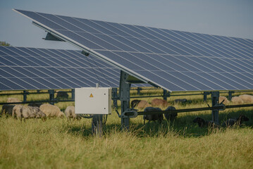 String combiner box for photovoltaic systems labeled "Warning: High Voltage, Electrical Hazard" on solar farm with solar trackers panels and flock of sheep grazed beneath the structures. Agrivoltaics 
