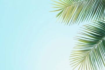 Render a lush tropical palm tree against a clear blue sky from a low-angle view, highlighting the intricate details of the vibrant leaves, evoking a sense of tranquility and serenity