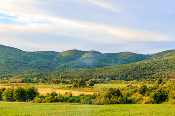 Fototapeta premium A beautiful, lush green field with a mountain in the background