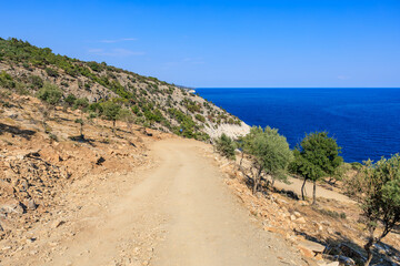 A dirt road winds up a hillside with a view of the ocean