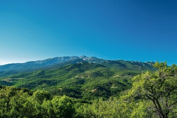 Mountain Range with Lush Green Foliage Under a Clear Blue Sky