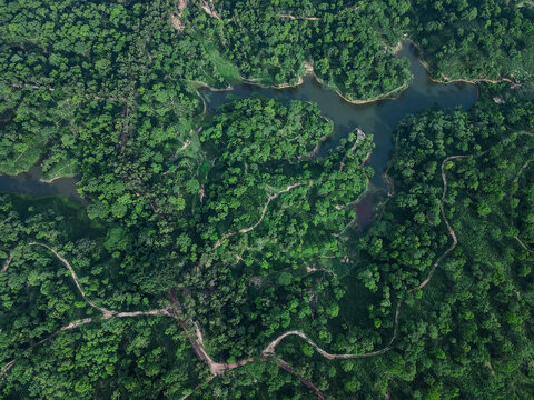 Aerial view of lush green Ramgarh Tea Garden with winding roads and a serene river, Khagrachari District, Bangladesh.