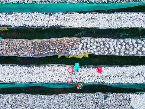 Aerial view of traditional fish processing with drying racks and workers, Chittagong, Bangladesh.