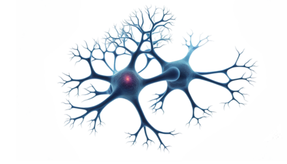 Biology nerve cell PNG minimalistic on transparent background. Nerve sell PNG. Cut out