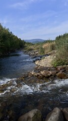 River flowing through a rocky bed, surrounded by reeds and trees, with distant mountains under a clear sky.
