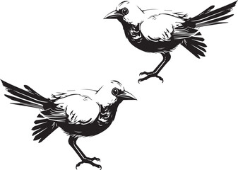 silhouette of a bird