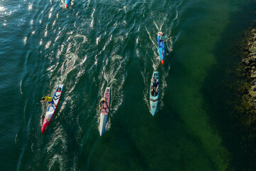 Aerial view of paddleboard race on vibrant water with active participants, Shilshole Bay, Seattle, United States.