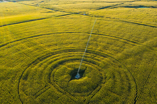 Aerial view of beautiful agricultural fields with irrigation patterns in Rattlesnake Hills, Buena, United States.