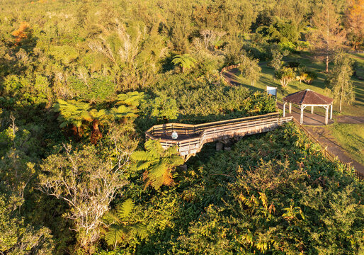 Aerial view of serene sunrise over lush tropical forest with fern trees and a wooden hut, Takamaka, Reunion.
