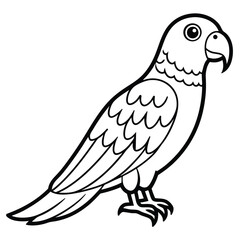 Obraz premium Elegant Line Art of a Majestic Parrot for Creative Designs
