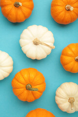 White and orange pumpkins on blue background.