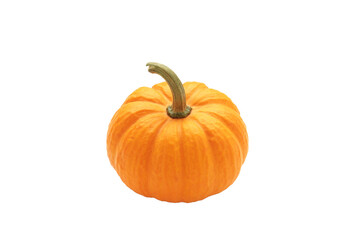Mini orange pumpkin isolated on white background.