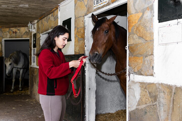 A woman is holding a red leash while standing next to a horse in a stable